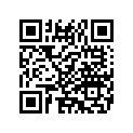 14666-97 DECAL RIGHT (SILVER)