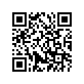 148-28100-00-00 156281000000