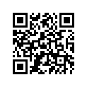 14B-28392-40-00 GRAPHIC 2, R