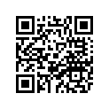 14B-28394-60-00 GRAPHIC 4, R