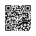 14B-W2839-A0-P2 Обтекатель Пластиковый