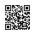 150-17218-01-00 152172160000