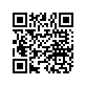 1501003 PISTON 222-27-001