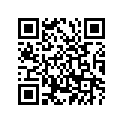 152-82511-00-00 Key