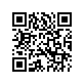 15367-09 ANTI TAMPERING LABEL (SILVER) (H105)