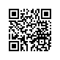 156-13145-00-00 905081001300