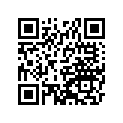 16009-060 Жиклер игольчатый