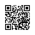 16009-1081 NEEDLE-JET,#N05C