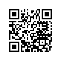 16009-1085 Needle-jet