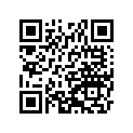 16009-1112 Needle-jet