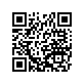 16009-1113 Needle-jet