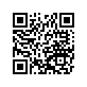 16009-1114 Needle-jet,4be4