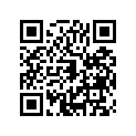16009-1380 Needle-jet            (option)