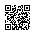16009-1382 Needle-jet            (option)