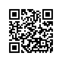 16009-1386 Needle-jet            (option)
