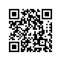 16009-1387 Needle-jet            (option)