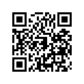 16009-1505 Needle-jet, F1341h     (option)