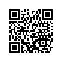 16009-1508 Needle-jet, F1344h     (option)