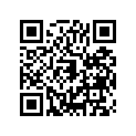 16009-1583 Needle-jet, N84a       (option)