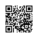 16009-1642 Needle-jet, N0eh       (option)
