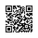 16009-1645 Needle-jet, N0ek       (option)