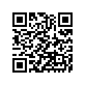 16009-1646 Needle-jet, N0el       (option)