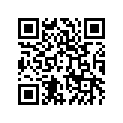 16009-1659 ニ-ドル(ジエツト)，OBFMP，インサイド