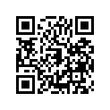 16009-1699 Needle-jet, Nopz       (option)