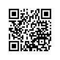 16009-1935 Needle-jet, N68q       (option)