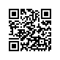160091786 Needle-jet, N96x