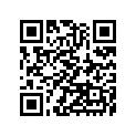 160091836 Needle-jet, N2dk       (option)