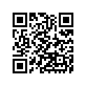 160091841 Needle-jet, N2ek       (option)