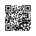 160091917 Needle-jet            (option)