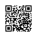 160091920 Needle-jet            (option)