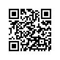 160091926 Needle-jet, N3rb
