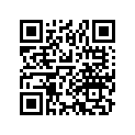 16010-880-505 PACKINGSET