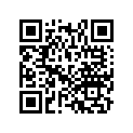16010-ZG0-015 SSBY-11-16010-ZG1-015-GASKETSET