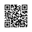 16012-KT4-671 Ndl, Primary Jet