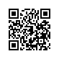 16017-1306 Jet-needle, Q-6        (option)