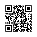 16017-1310 Jet-needle, R-4        (option)