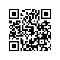 16017-1311 Jet-needle, R-6        (option)