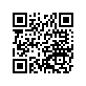 16017-1334 Jet-needle, Q-2        (option)
