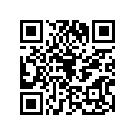 16017-1393 JET-NEEDLE,#6