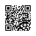 160173702 Jet-needle, N6pa