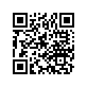 16018-397-692 Arm Set A, Link