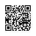 1602-812 KEY,2.50 X .25 X .25