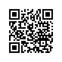 16022-357-425 Комплект клапана