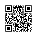 16022-400-305 Комплект клапана