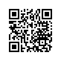 16022-400-405 Комплект клапана