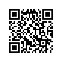 16028-428-004 Screw set b